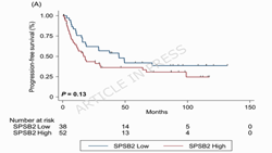 Diagnostic and prognostic value of urine SPRY domain-containing suppressor of cytokine signaling box protein 2 for bladder cancer